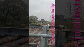 Metro Lilydale To Boxhill 060724 shorts shortvideo train travel windowviews views [upl. by Snider]