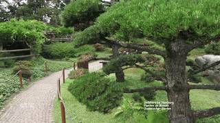 Japanischer Garten  Hamburg [upl. by Kannry]