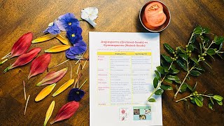 Angiosperm Plants vs Gymnosperm Plants [upl. by Niwdla]