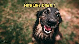 Dog and wolf howling sound effect [upl. by Cotterell]