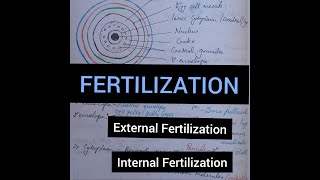 Fertilization  Simply Explained  In Malayalam [upl. by Margareta]