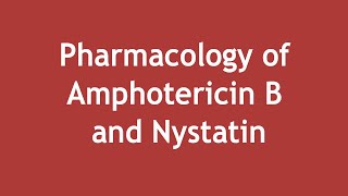 Pharmacology of Amphotericin B and Nystatin ENGLISH  Dr Shikha Parmar [upl. by Ylerebmik632]