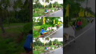 மாட்டு வண்டி பந்தயம் Mattu vandi panthayam Rekla Race  Youve Never Seen A Race Like This [upl. by Eugen840]