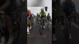 Whos fault is this Fabio Jakobsen crash tour de france 2023 stage 4 shorts [upl. by Yllor]