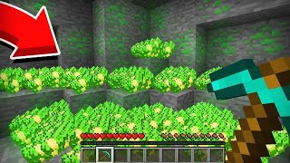 Я НАШЕЛ ЭТУ СЕКРЕТНУЮ ДЕНЕЖНУЮ РУДУ В МАЙНКРАФТ 100 MINECRAFT ХЕНЧЕНСОНС [upl. by Tips]