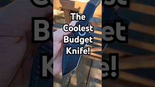 Coolest Budget Knife In My Collection budgetknife edgedmindset kizerknives edgedmindset [upl. by Dardani760]