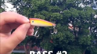 Mangler Lures Bassin with Crankbaits and Poppers [upl. by Dnomar]