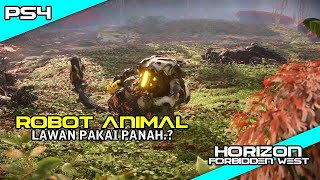 Horizon Forbidden West PS4 GAMEPLAY [upl. by Flemming]