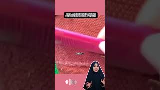 CARA MENGHILANGKAN BULU MENGGUMPAL PADA SWEATER diy lifehacks diyhacks craft kreasi [upl. by Idaline555]