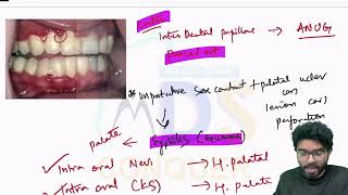 RAPID REVISION SERIES  PART 2  NEET MDS 2024 [upl. by Arol]