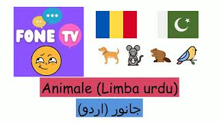 Animale Limba urdu rour [upl. by Imled]