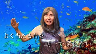 【歌ネタ】パチンコ台の人魚 パチエル『パチンコ・ザ・ワールドPachinko the World』MV [upl. by Katlin585]