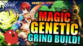 MDMG GENETIC 4SPOT GRIND BUILD  RAGNAROK ORIGIN [upl. by Nesrac]