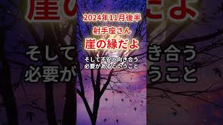 【射手座】2024年11月後半いて座、崖っぷちに立つ運命！試練と救いの行方をタロットと星座で解説射手座いて座 [upl. by Anirbas]