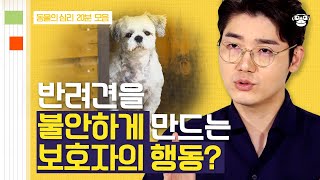 20분 🐾행복한 반려견과 견주가 되기 위한 설채현의 솔루션🐾 분리불안과 올바른 산책 교육 읽어드립니다  사피엔스 월요특강 [upl. by Nevarc]