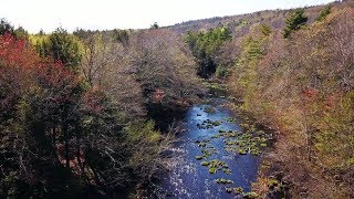 Green Leaves on the Gaspereau  Mavic Pro amp Moverio BT300 glasses  4K [upl. by Dallis461]