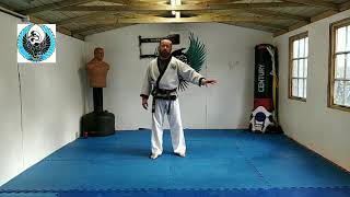 Beginners and fundamental Tang Soo Do training [upl. by Roede]