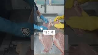 Fish skin removal machine seafoodprocessing fishing fishprocessing fish fishfactory [upl. by Naivaj419]