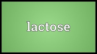 Lactose Meaning [upl. by Velvet]