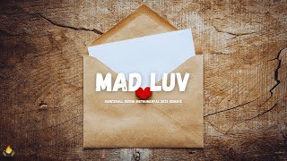 Alkaline  Mad Luv Riddim Instrumental  REMADE 2023 [upl. by Sorac]