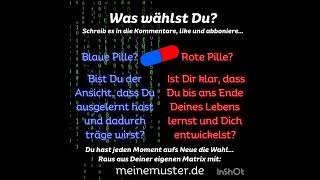 Was wählst Du 🔵🔴 Schreib es in die Kommentare like und abonniere Lernen bis ans Lebensende [upl. by Derreg]