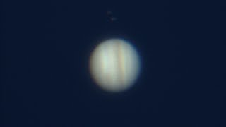 Jupiter First Capture with Skywatcher Skymax 127 shorts [upl. by Akcirret]