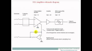 Understanding EEG Part8 EEG Localization and amplifiers What is electroencephalography EEG [upl. by Katushka]