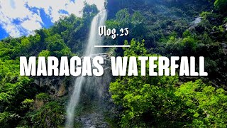 Hike to Maracas Waterfall  Trinidad Vlog [upl. by Derry137]