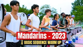 Mandarins 2023  Basic Sequence [upl. by Junius]