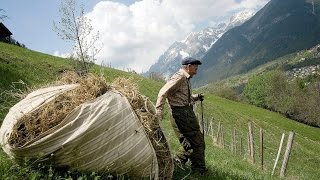 Doku In steiler Höh  Salzburger Bergbauern HD [upl. by Annaya]