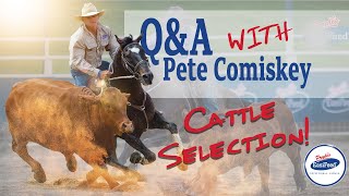 The Best Way To Select Cattle In Campdrafting With Pete Comiskey [upl. by Aidnahs973]