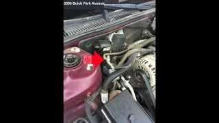 How to Find a Cars AC LowPressure Service Port [upl. by Ahsemrak]