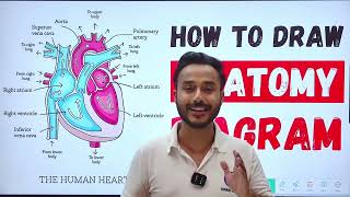 anatomy mbbs 1st year notes  important diagrams of anatomy mbbs  how to draw antomy diagrams [upl. by Demakis3]