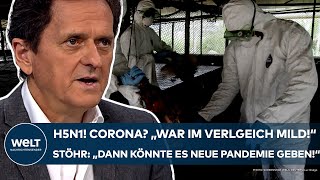 H5N1 quotCorona war im Vergleich mildquot Vierter VogelgrippeFall in USA Neue Pandemie Das sagt Stöhr [upl. by Favian878]