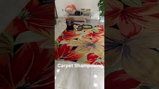 Very costly Carpet Dry😮😮 Shampooing Clean 🙂🙂 [upl. by Erihppas]