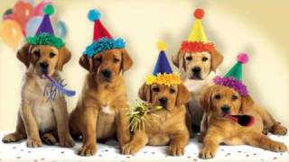 Cute Dogs Bark the quotHappy Birthdayquot Song [upl. by Salim663]