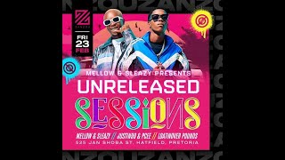 Unreleased Sessions  Mellow amp Sleazy B2B Justin99 amp Pcee [upl. by Nam]