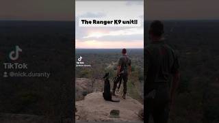 The Ranger K9 unit foryou rangers dogs patrol bush apu wildlife shorts short [upl. by Pieter]