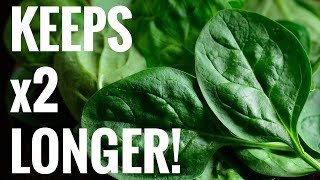 Quick Tip  Easiest Way to Keep Spinach Fresh For Longer Works with ANY green [upl. by Joab]