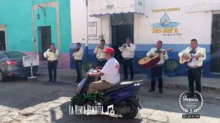 Mariachi Herencia De Villa  La Venía Bendita [upl. by Enyak]