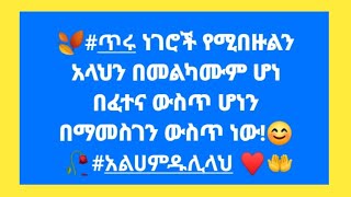 Jamila YouTube 2⃣ جميلهሁለ ገብ ዩቱብ 🧕 is liveስበር ዜና52017 አርበኛው ዘመኔ ካሴ በቪዲዮ መጣ🇬🇳🇬🇳🇬🇳🇬🇳💪 ላይክ ሼር [upl. by Joyce]