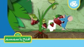 فأر الحقل المزارع  Iftah Ya Simsim [upl. by Grussing277]