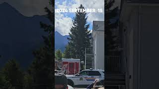 2024 September 15 Bear in downtown Canmore [upl. by Yssep]