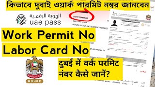 work permit number in UAE Dubaiiloe mohre App work permit number problem [upl. by Esadnac898]