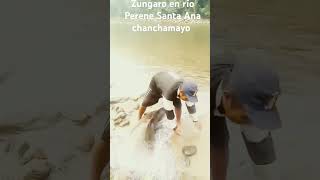 pesca de zungaro en rio perene Santa Ana chanchamayo [upl. by Eob]