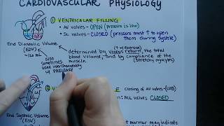 Cardiac Cycle  Cardiovascular Physiology [upl. by Grassi]