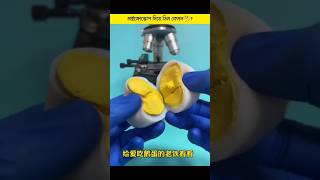 মাইক্রোস্কোপ দিয়ে ডিম কেমন🤔foryou science amp Technology YouTube short vairalshort Bangladesh [upl. by Hgielsa]