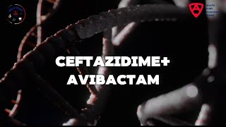 CeftazidimeAvibactam 🦠 [upl. by Emelyne967]