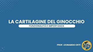 La cartilagine del ginocchio Funzionalità e importanza [upl. by Roel]