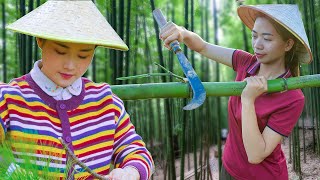 Dianxi Xiaoge is amazing  making sticky rice from bamboo tubes a meal with the taste of bamboo [upl. by Ranger]